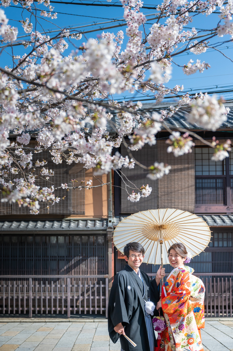 青空に映えるソメイヨシノ