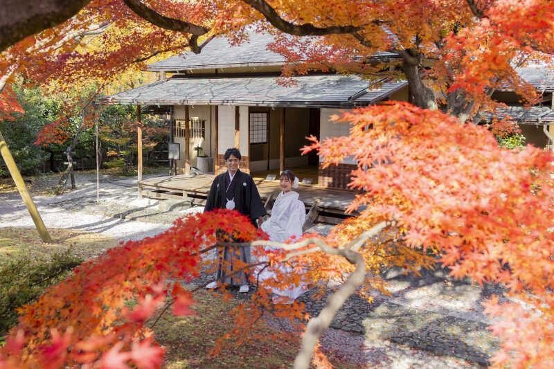 鮮やかなモミジと共に