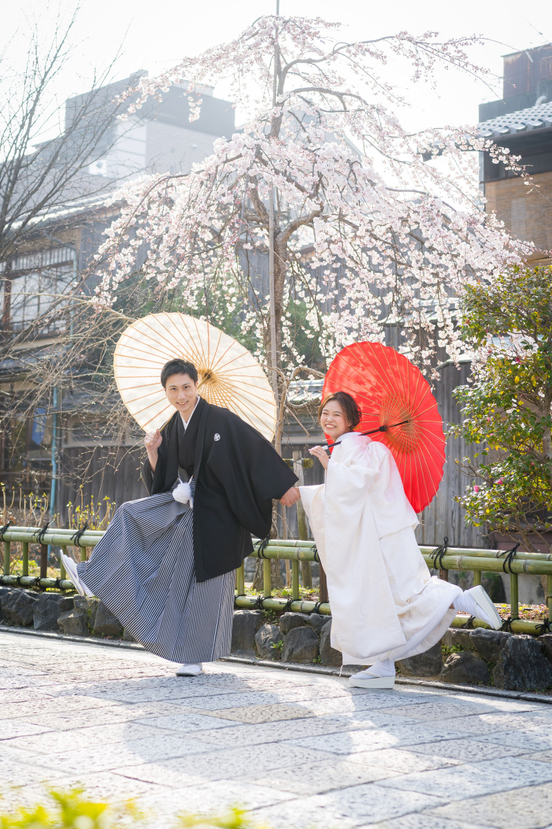 桜の木の下で和傘を持ってポーズ!