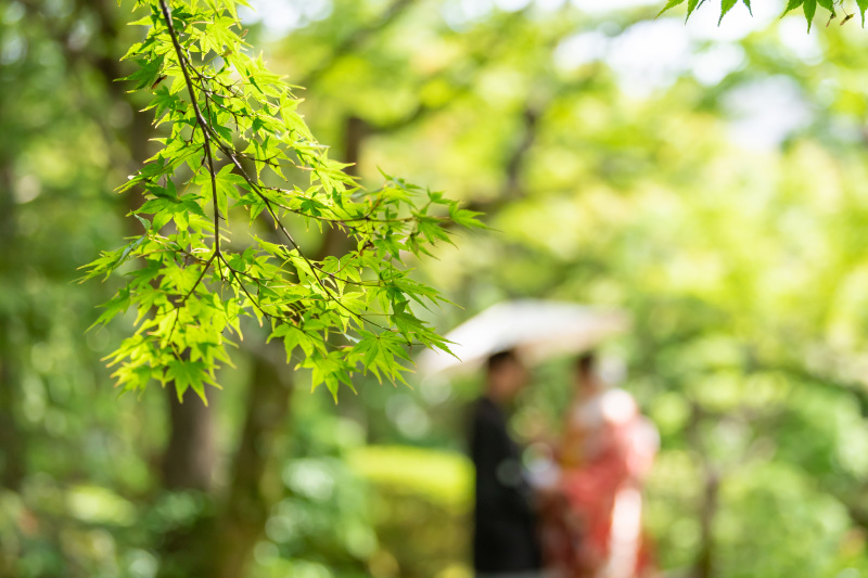 こんなカットも！