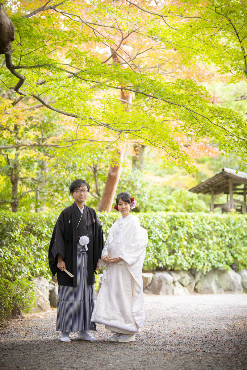 白無垢で日本庭園