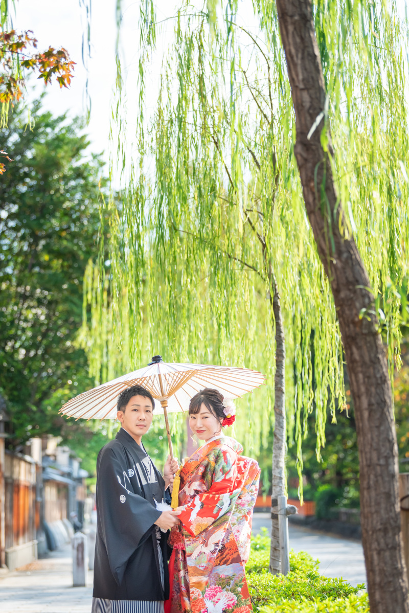 キラキラと柳が