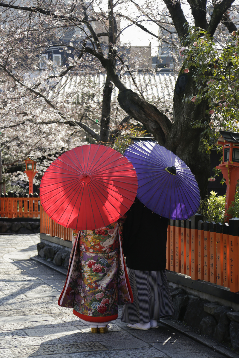 桜の下をテクテク♪
