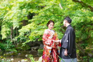 梅雨晴れの日本庭園