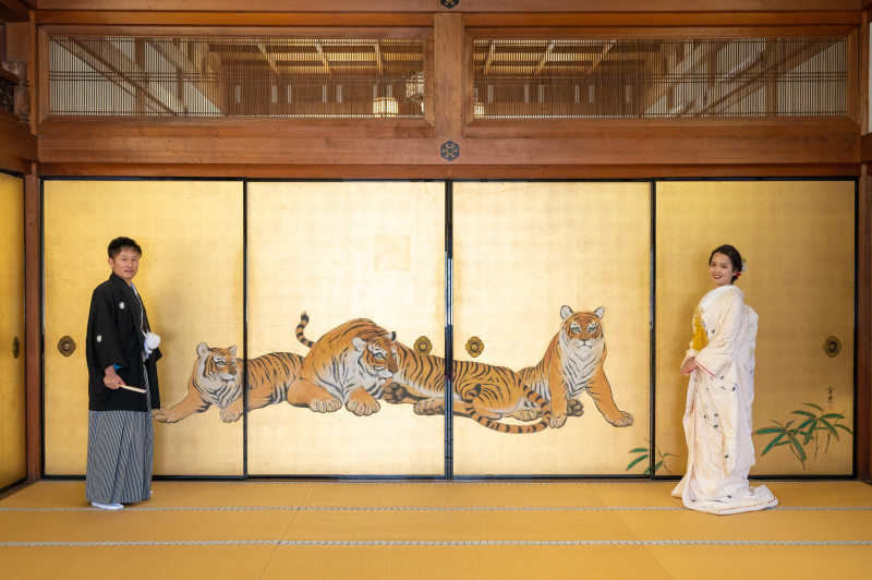 虎に見つめられながらの撮影。特別な空間です。