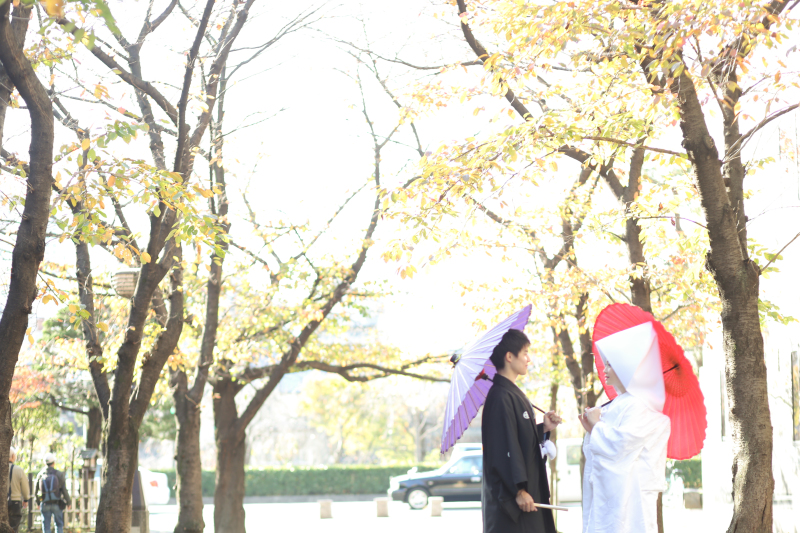 かつらでしっとり