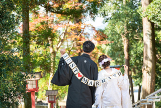 少しずつ…少しずつ…