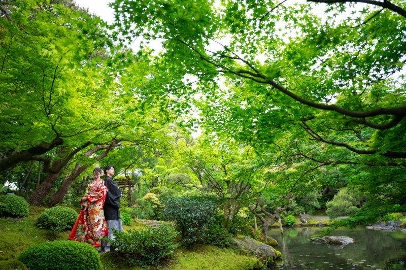 青紅葉がとっても綺麗