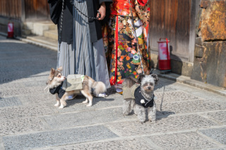 ペットとの撮影