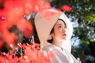 古都photo_寺社仏閣