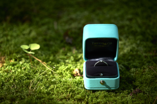 永遠の約束を、この一枚に。