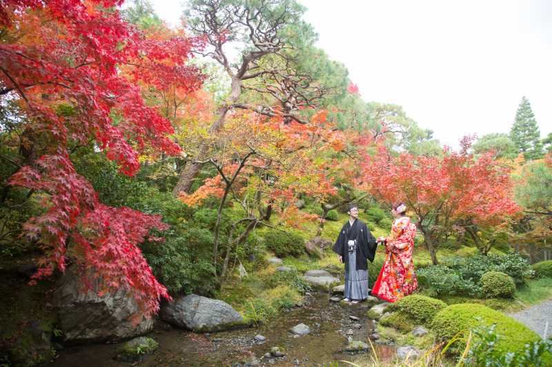 紅葉が綺麗な日本庭園で池の飛び石を渡るお二人を撮影