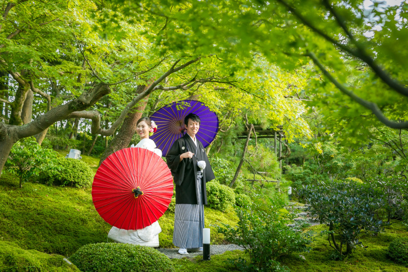 【緑と鮮やかに染まる紅葉】貸し切り日本庭園　