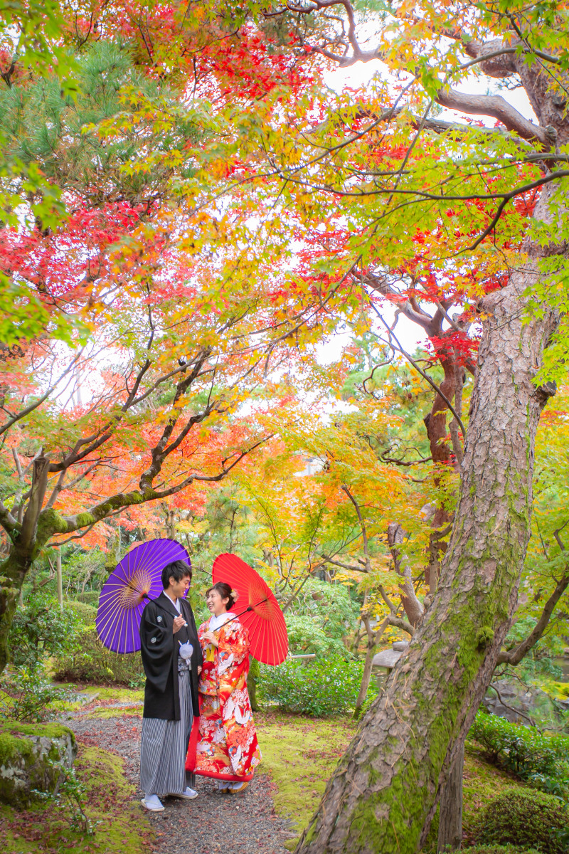 【緑と鮮やかに染まる紅葉】貸し切り日本庭園　