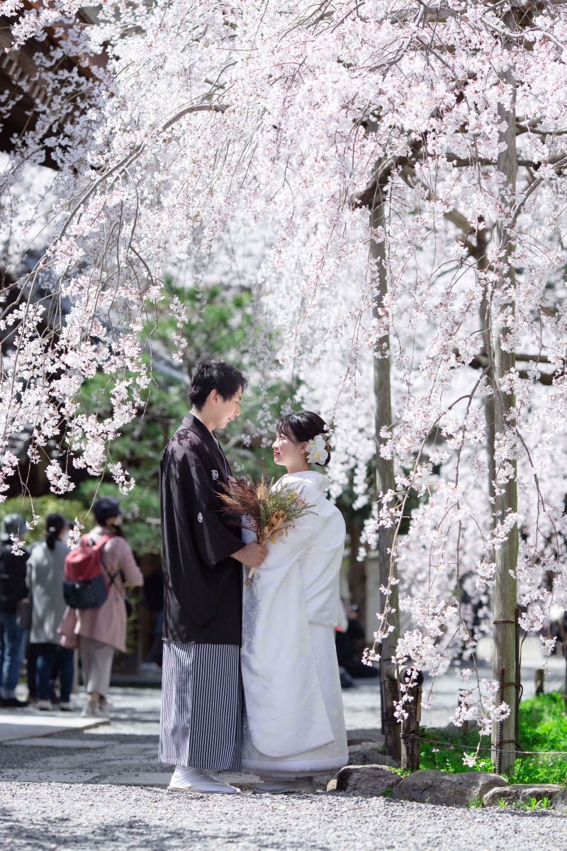 【GWも対象】まだ間に合う春撮影!5,000円OFFで叶う和装2点×ロケ2ヵ所プラン