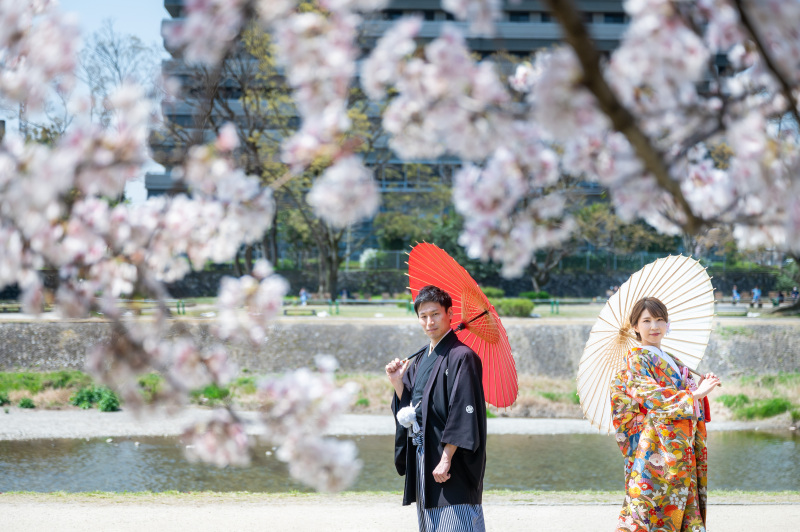 【緑の川べりと春の桜並木】鴨川