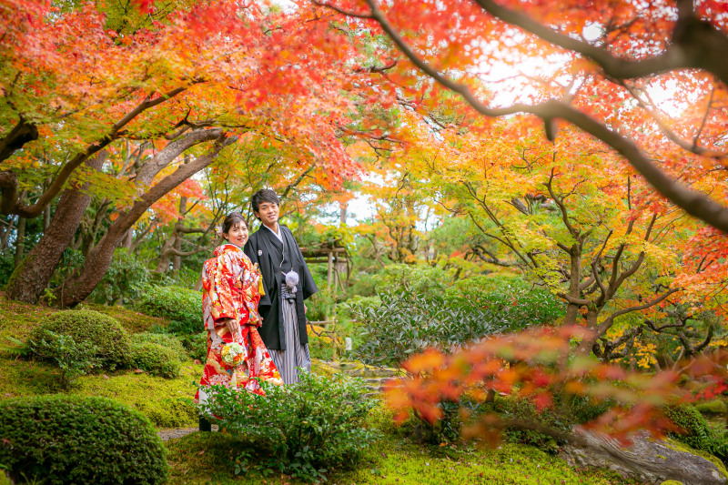 【緑と鮮やかに染まる紅葉】貸し切り日本庭園　