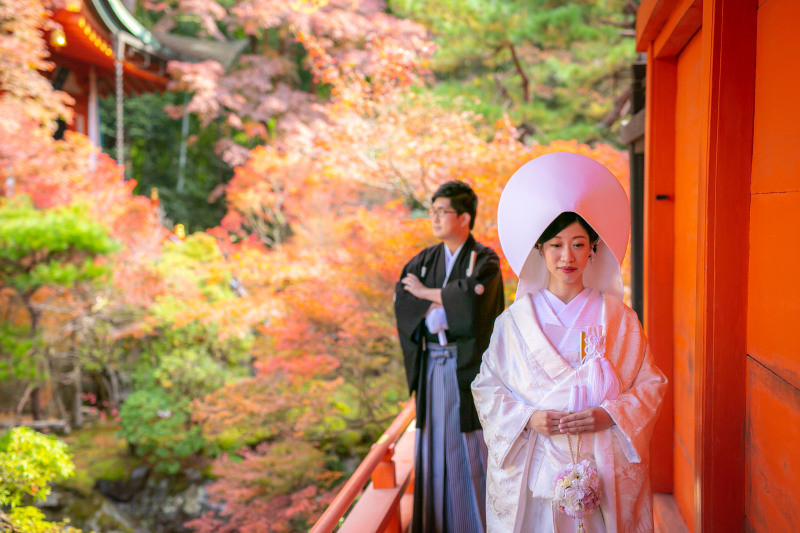 【春は枝垂れ桜、秋は紅葉】毘沙門堂