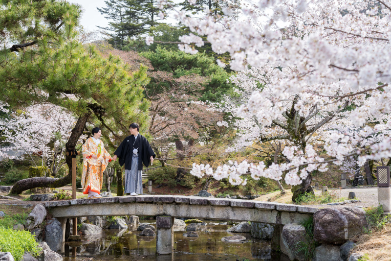 【散歩しながらめぐる撮影ポイント】円山公園