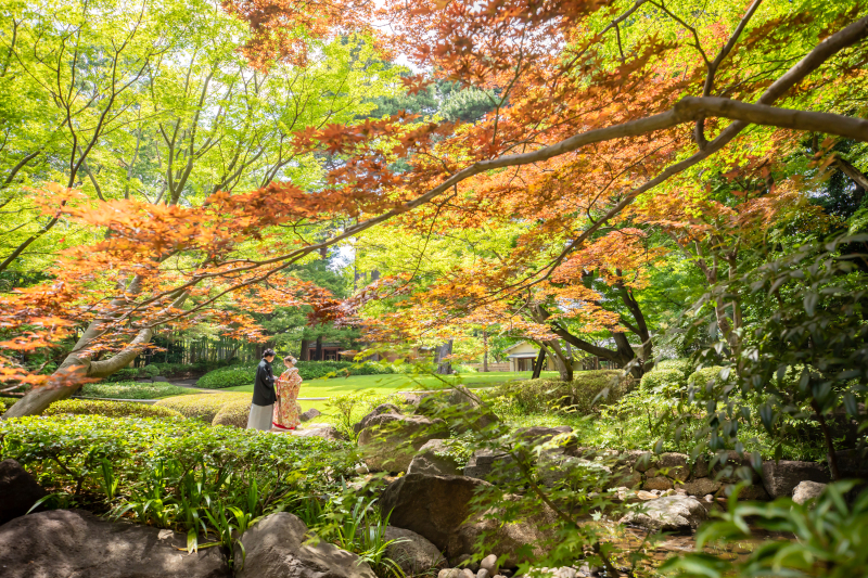 彩りの中で、ただ君だけを見つめて