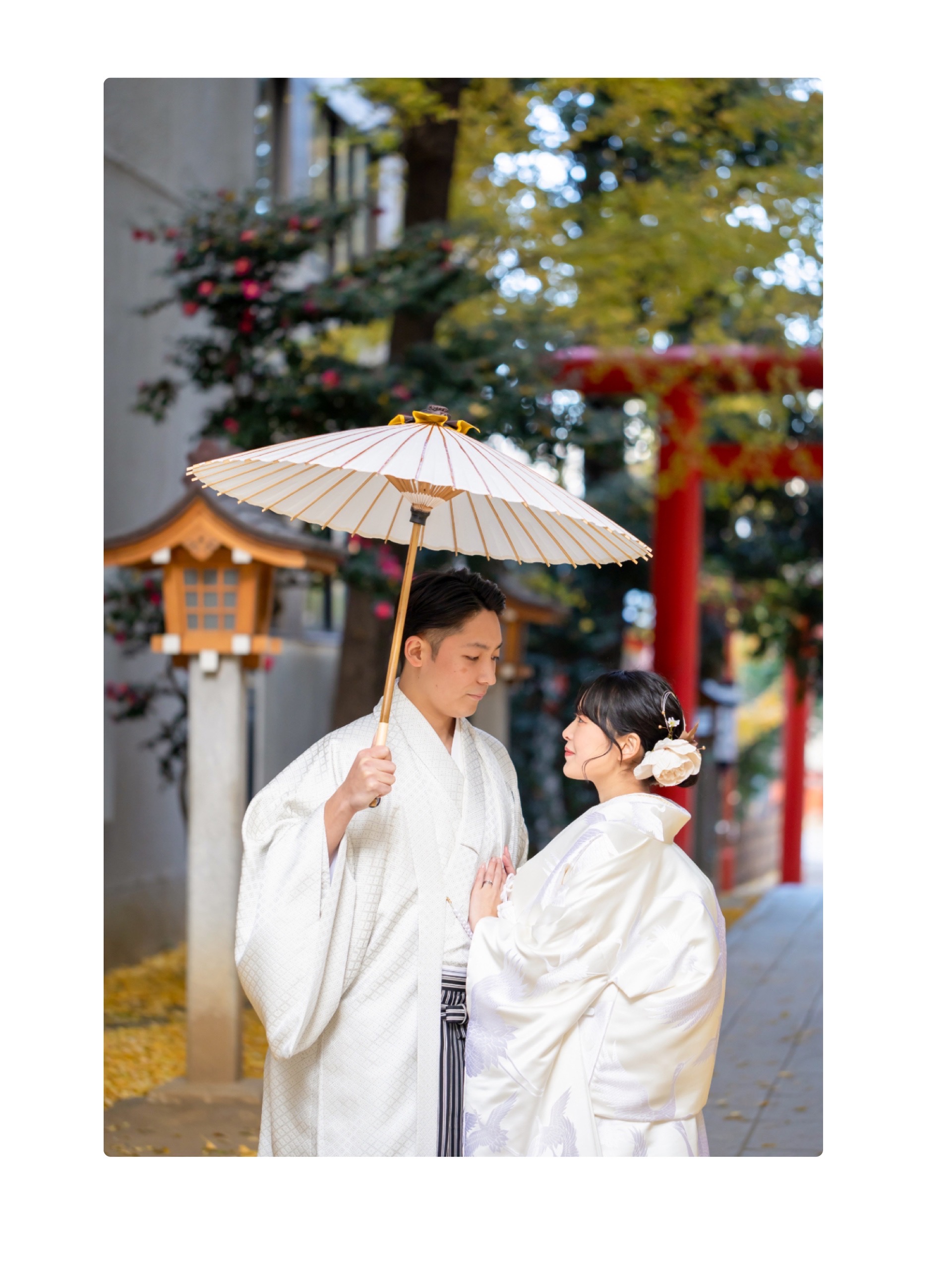 20以上ある撮影シーン