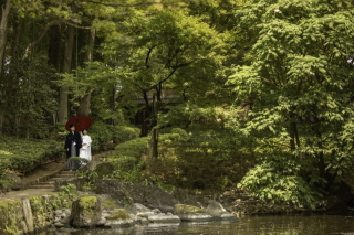 Imagegraph STUDIO_LOCATION 和装
