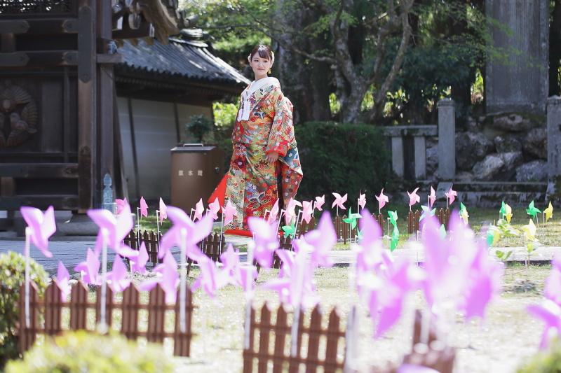 かざぐるま参道通り抜け　かざくるまが華やかに