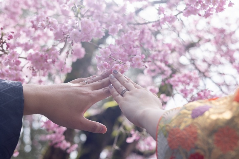 きらきらの太陽と桜のした重なりあうお二人の指輪