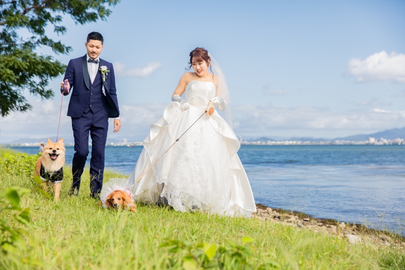 琵琶湖沿いを二匹のわんちゃんと撮影です