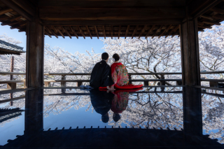 三井寺観月舞台春の特別公開