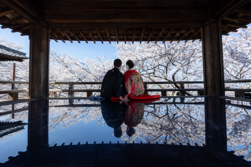 三井寺観月舞台春の特別公開