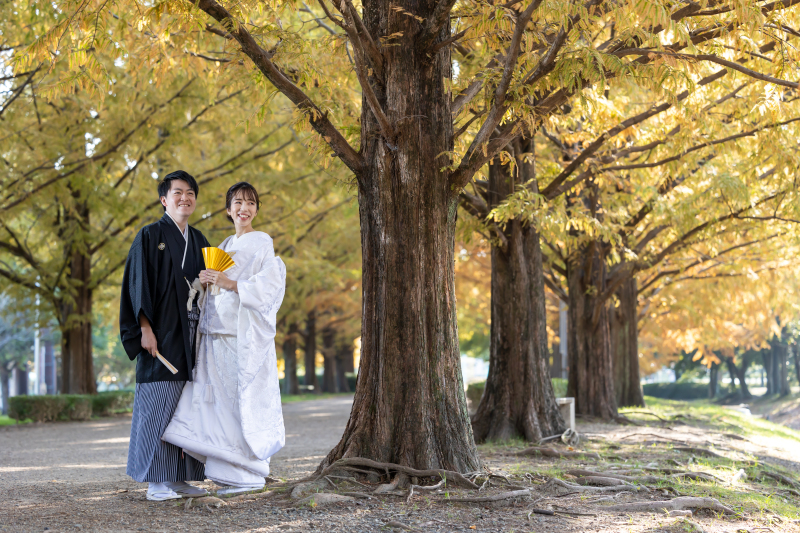 メタセコイヤに囲まれて