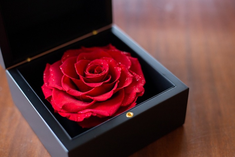 新郎様からのプレゼントのジュエリーケース