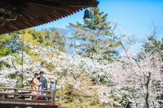 桜に包まれて撮影