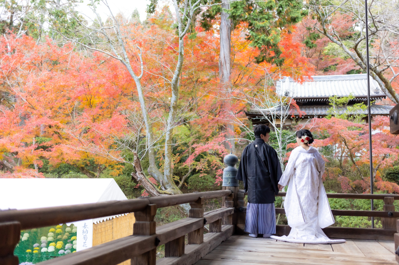 三井寺の本堂からの景色も見事です