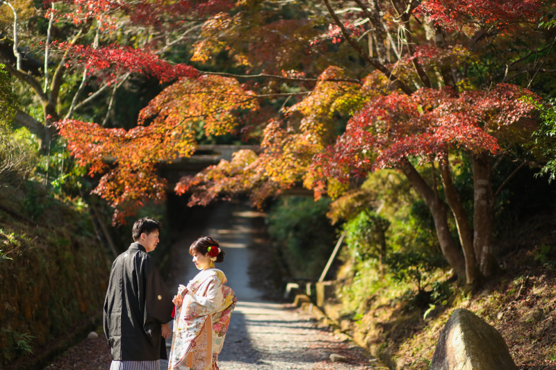 秋の三井寺を撮影です