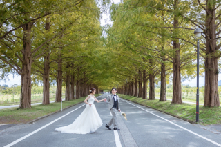 メタセコイヤ並木・琵琶湖撮影