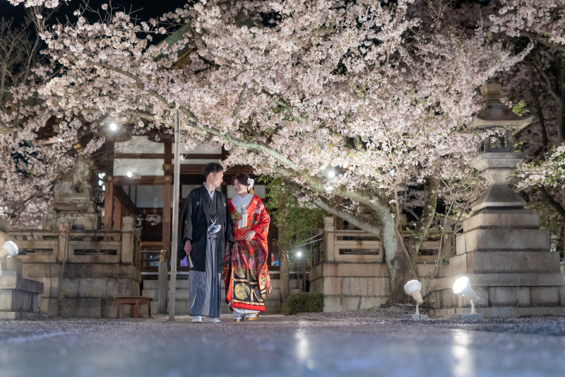 ライトアップされた夜桜を撮影です