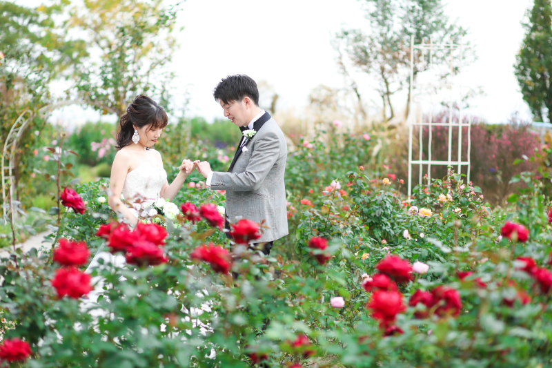 ローズガーデンでバラに囲まれて撮影