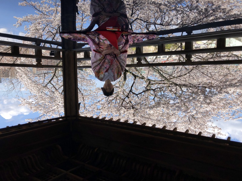 三井寺の観月舞台で桜と共に・・・