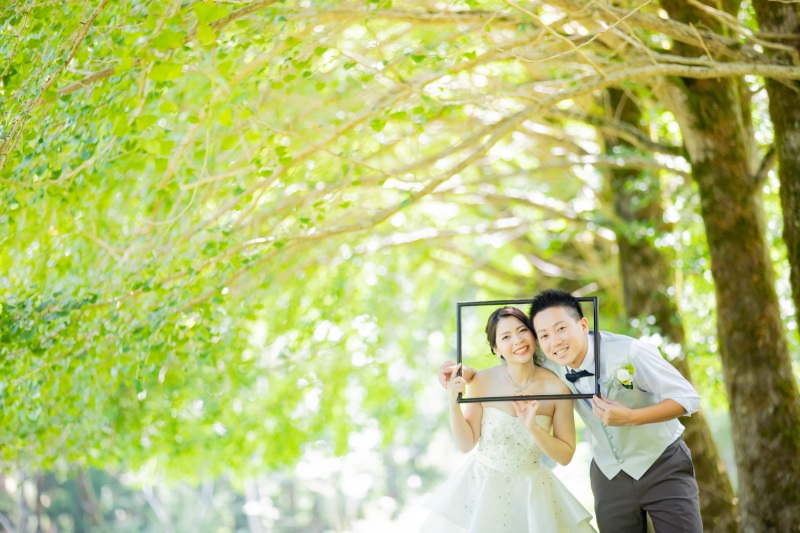 いちょう並木の下で