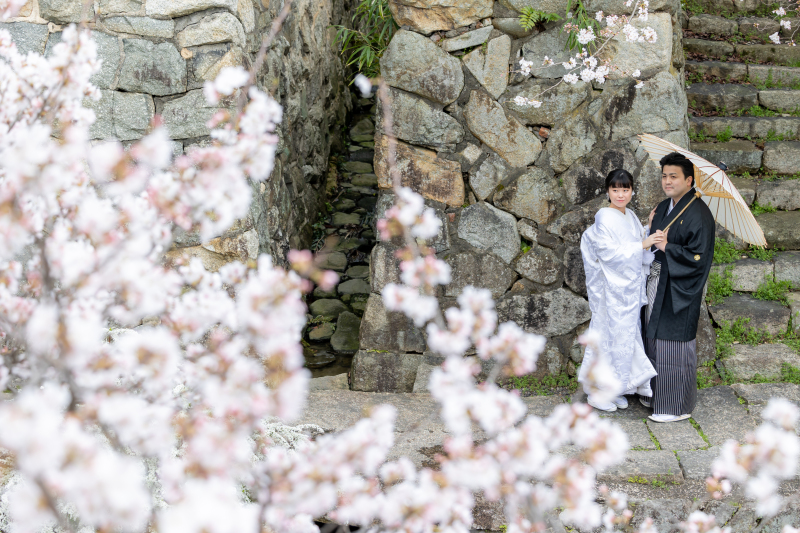 春の八幡堀撮影