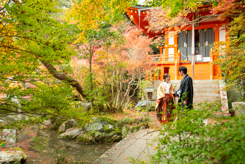 紅葉が見ごろを迎えていました