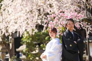 春の日吉大社撮影