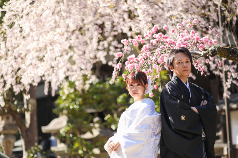 春の日吉大社撮影
