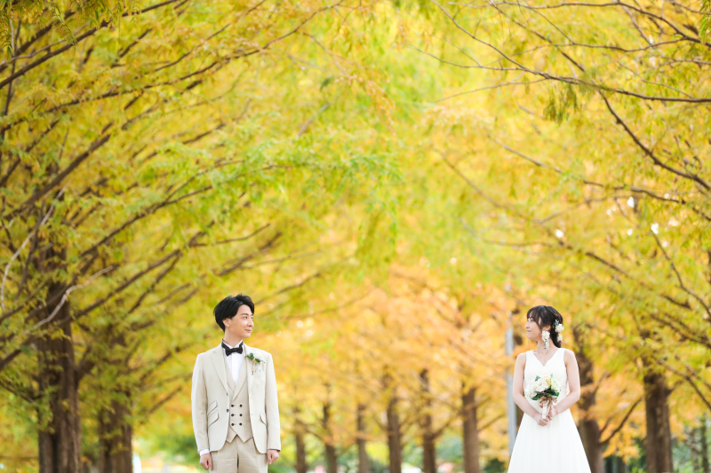 メタセコイア並木で秋を撮影です