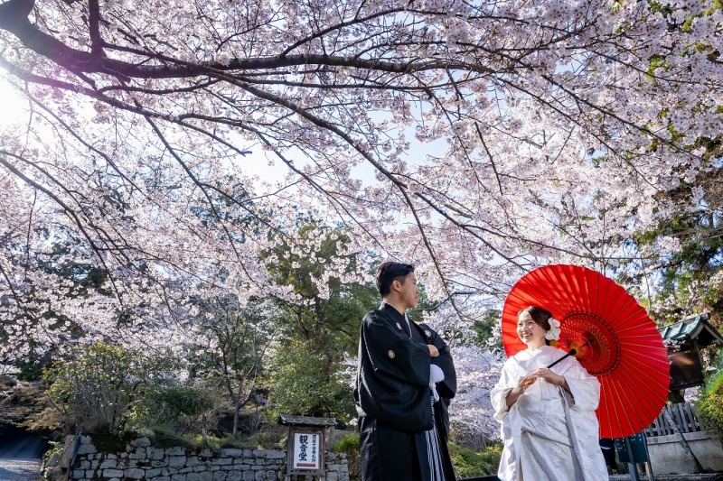 満開の桜に包まれて・・・