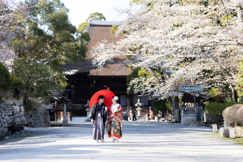 三井寺内をゆっくりと見渡しながら撮影