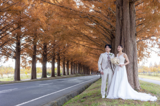 マキノメタセコイヤで撮影