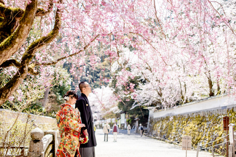 ドラマロケ地で撮影　春‥満員御礼